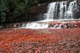 Quebrada de Jaspe, La Gran Sabana, Venezuela