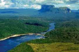 Rivière dans Gran Sabana