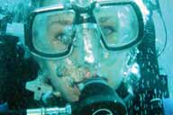 Tauchen auf Isla Margarita