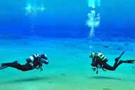 Tauchen auf Los Roques