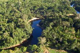 Fiume nel Delta dell'Orinoco
